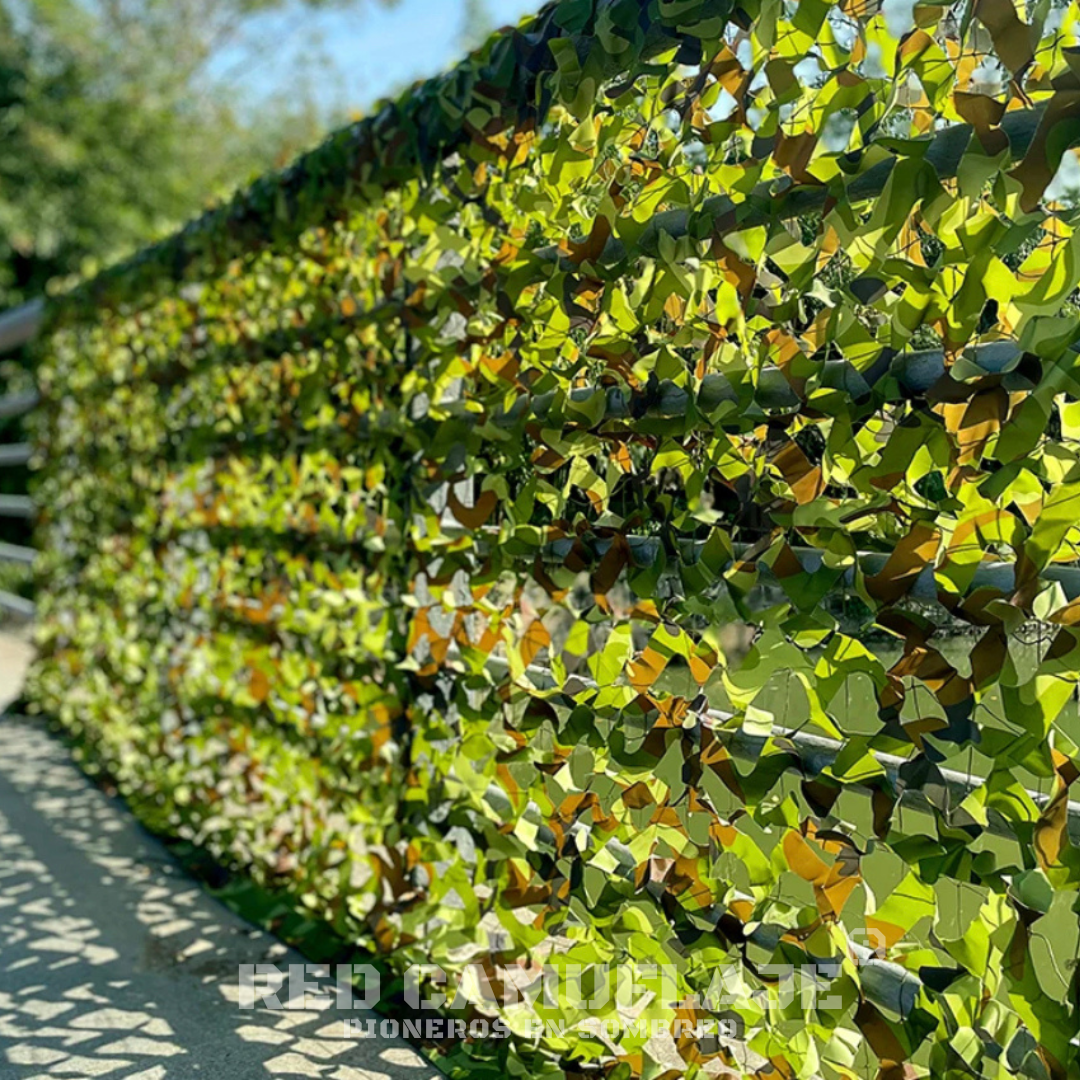 CAMO ( Version economica con terminaciones )