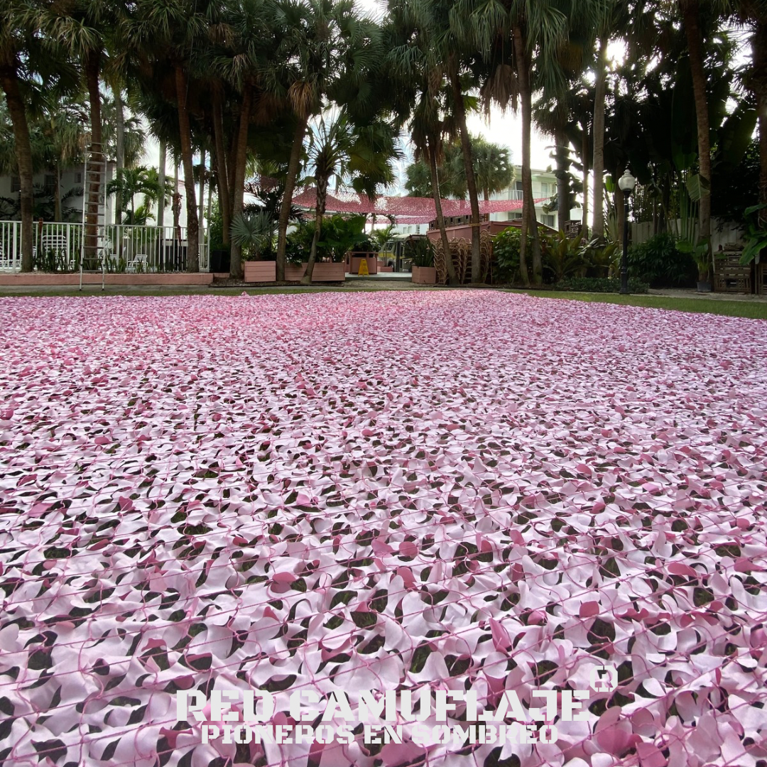 Pink Premium